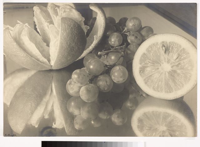 D981AF6623F54908BA2455124D7AAA93