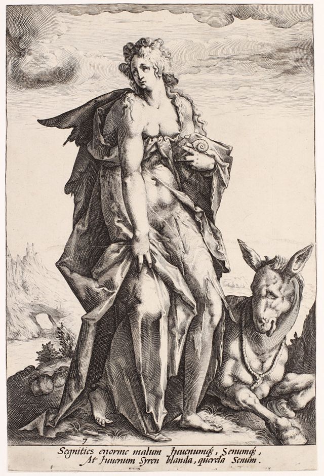 ED486AF326F84ABDA6F40BB52F23389C