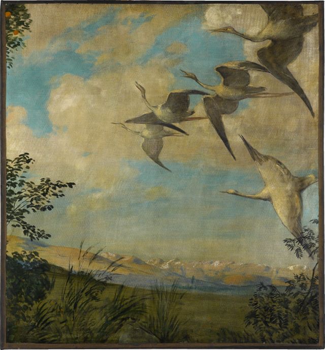 B35ADF7F4ED4E9338ACFC99732114C77