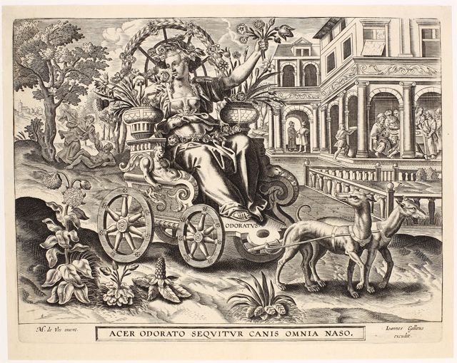 8AA8F83568144C4288C5D39DB7931F9F