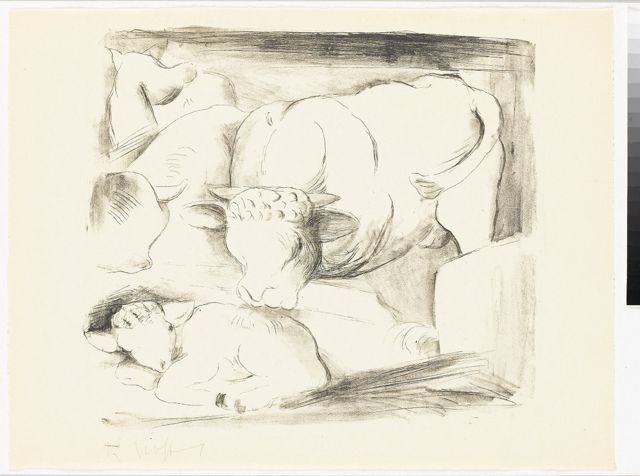 0509535411AF4BA3A97B8D13F35E923E