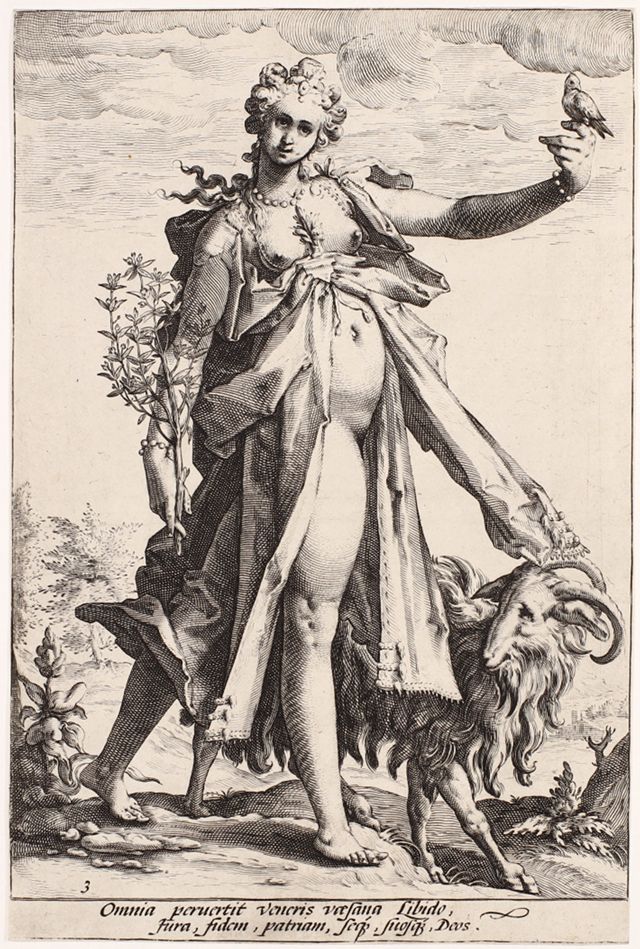 53D9ECA633E64B44B6022A286AC6CCD7