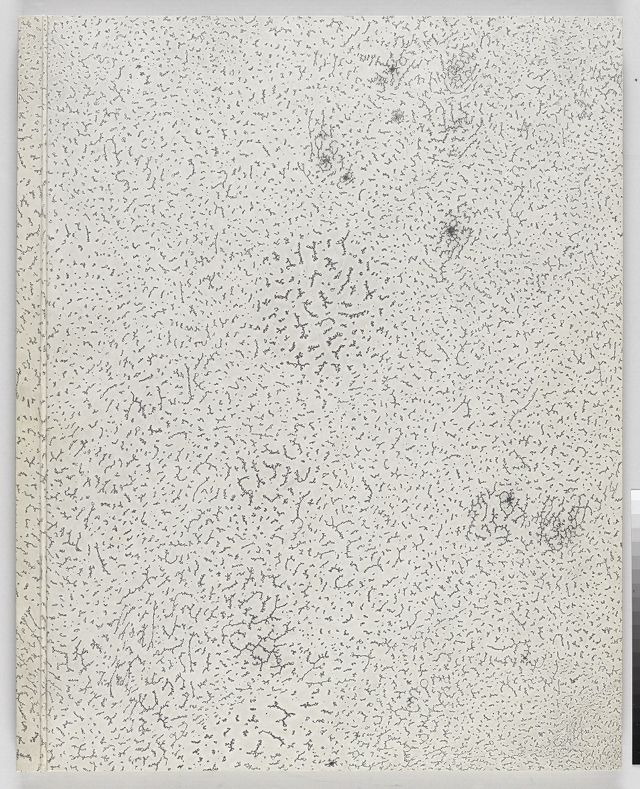 ECC59E2BB998436F99AC5107DD0D8481