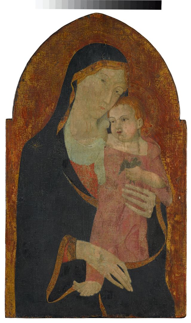 76857B404DC4CC8DCA81B1A378C1397E