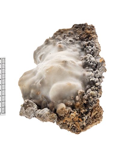Großstufe aus Kalksinter, der kleine Gesteinsschutt- und Holzstücke verbunden hat.