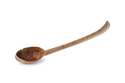 Spoon
