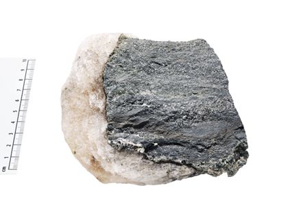 Roche