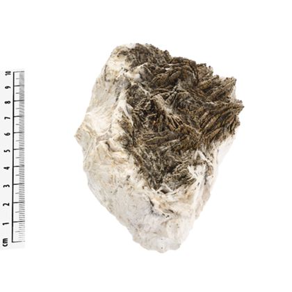 Handstufe mit Pyrit-"Kruste" auf Baryt.