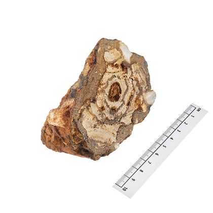 An eine Seite aufgesägte Großstufe eines "Bohnerz-Stalagmiten", eines Konglomerats mit Bohnerz- und anderen Kieseln in einer eisenhaltigen, feinkörnigen Grundmasse. Gegenstück zu NM10 2024/0003a.