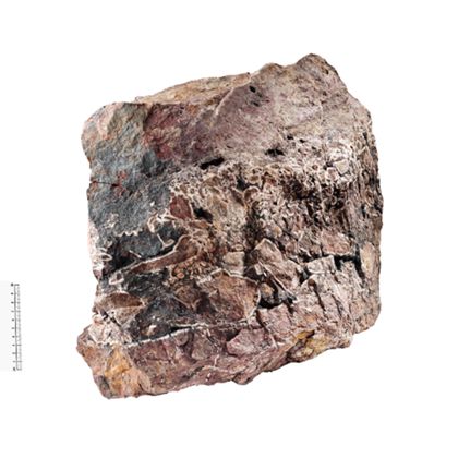 Mineral Silicified brecciated gangue porphyry with haematite